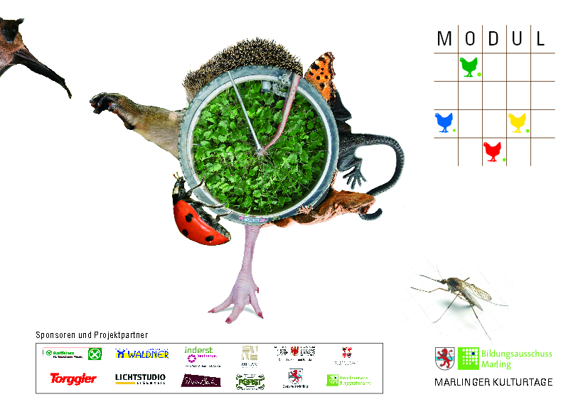 2019 MODUL (M), Einladung 3a